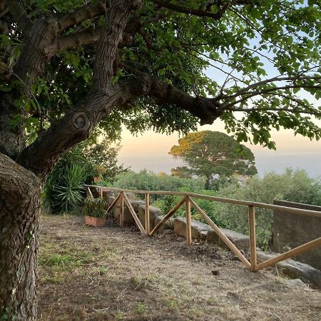 L'Ulivo In Villa Greco Tindari Dış mekan fotoğraf