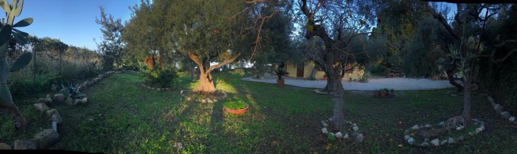 L'Ulivo In Villa Greco Tindari Dış mekan fotoğraf