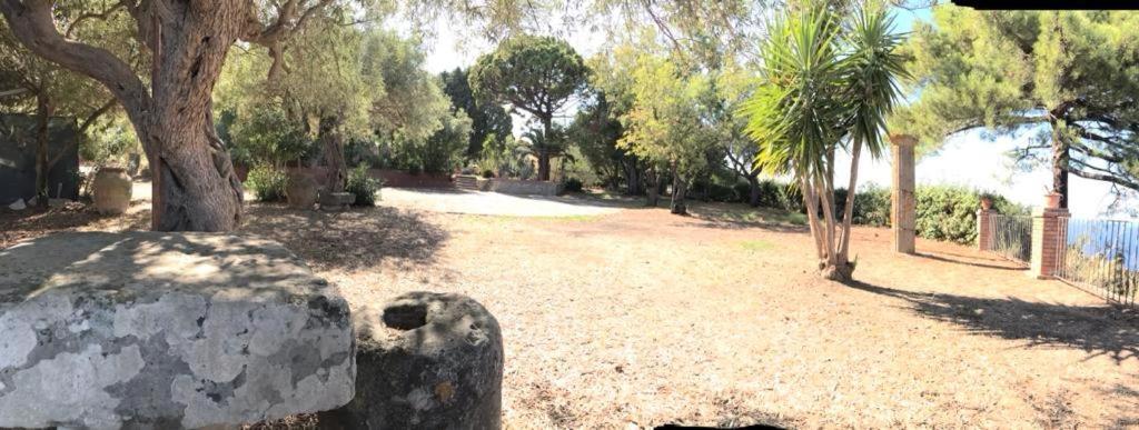 L'Ulivo In Villa Greco Tindari Dış mekan fotoğraf