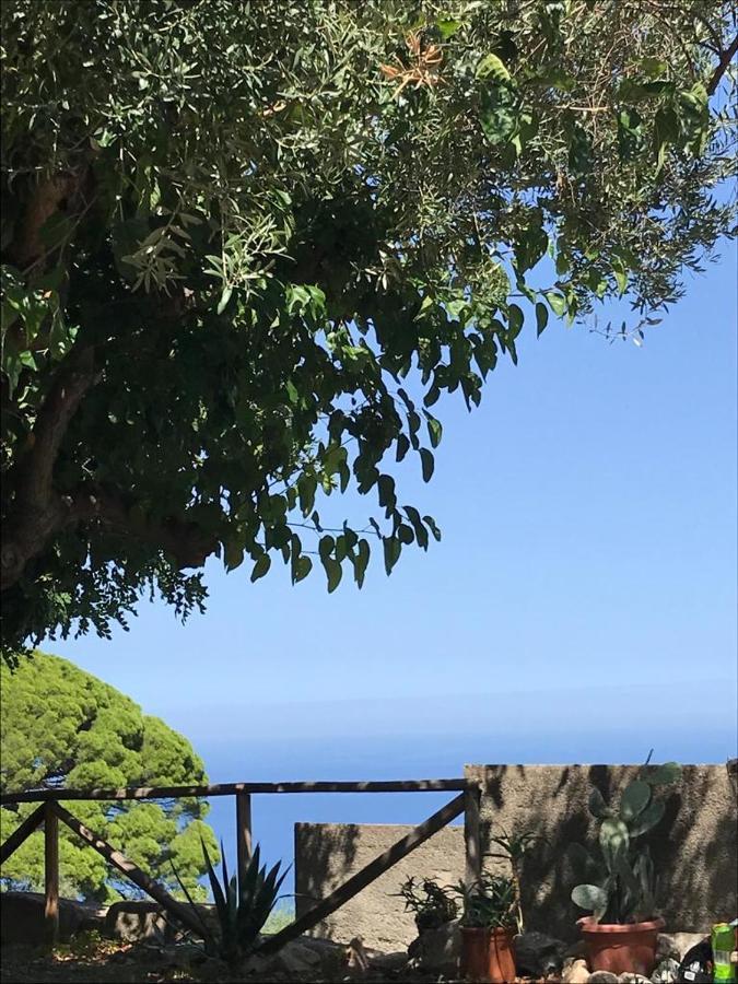 L'Ulivo In Villa Greco Tindari Dış mekan fotoğraf