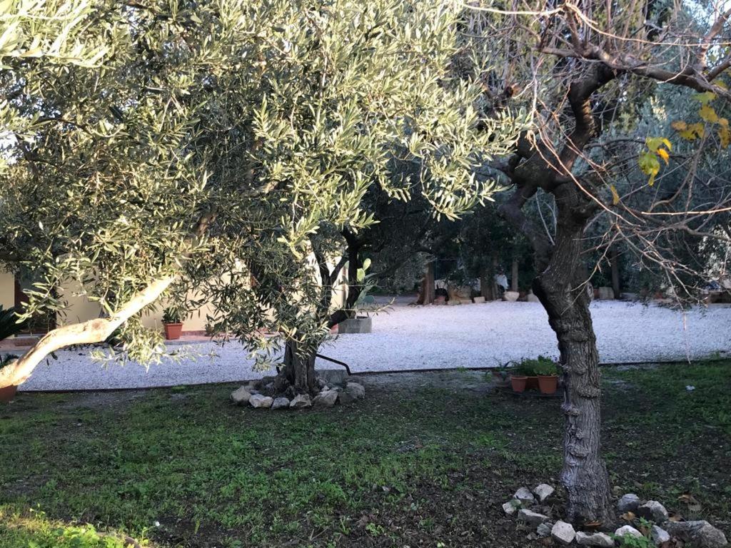 L'Ulivo In Villa Greco Tindari Dış mekan fotoğraf