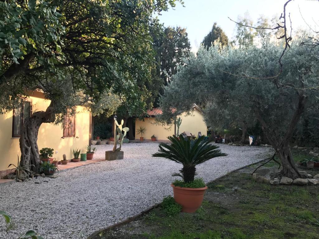 L'Ulivo In Villa Greco Tindari Dış mekan fotoğraf