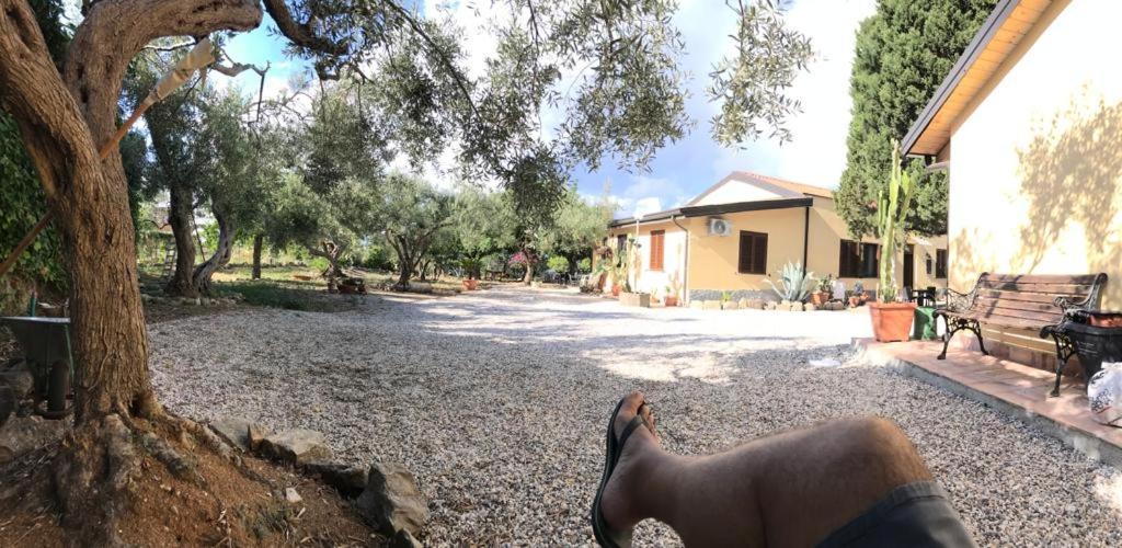 L'Ulivo In Villa Greco Tindari Dış mekan fotoğraf