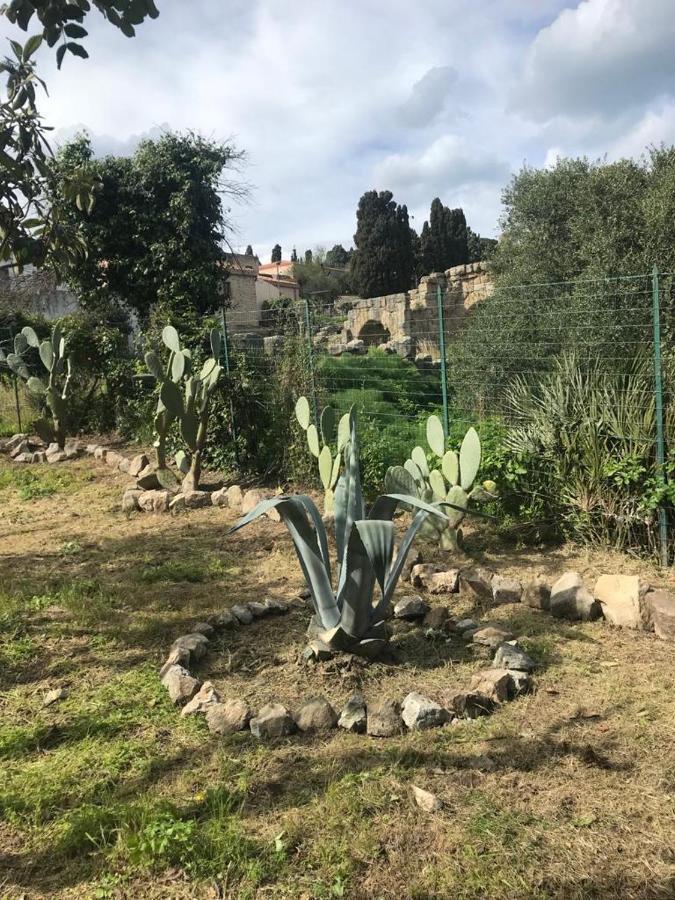 L'Ulivo In Villa Greco Tindari Dış mekan fotoğraf