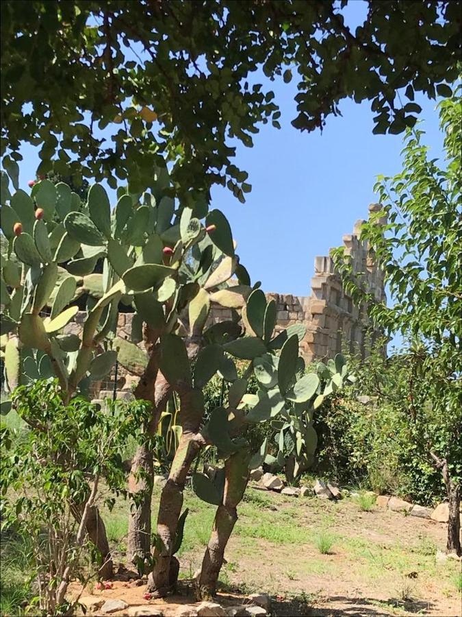 L'Ulivo In Villa Greco Tindari Dış mekan fotoğraf