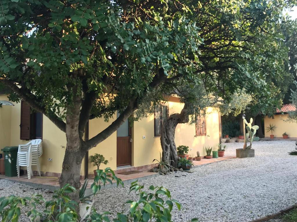 L'Ulivo In Villa Greco Tindari Dış mekan fotoğraf