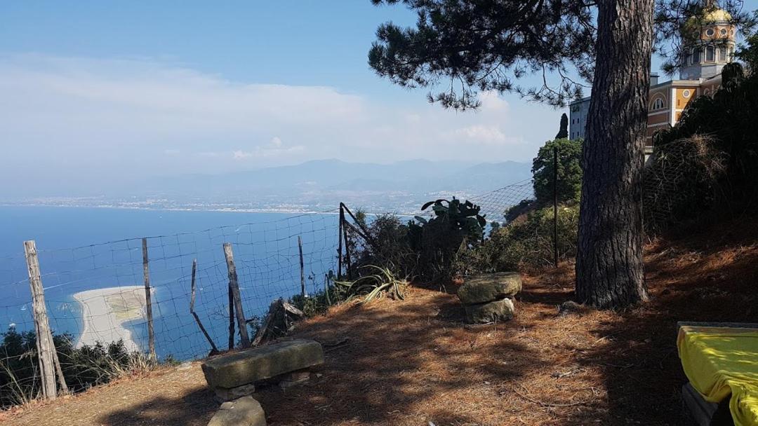 L'Ulivo In Villa Greco Tindari Dış mekan fotoğraf