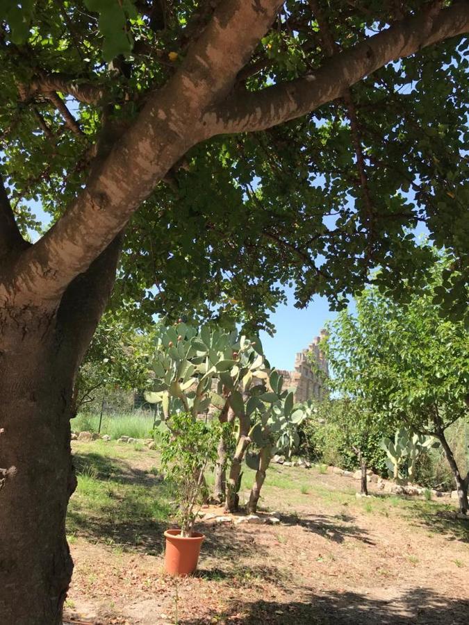 L'Ulivo In Villa Greco Tindari Dış mekan fotoğraf