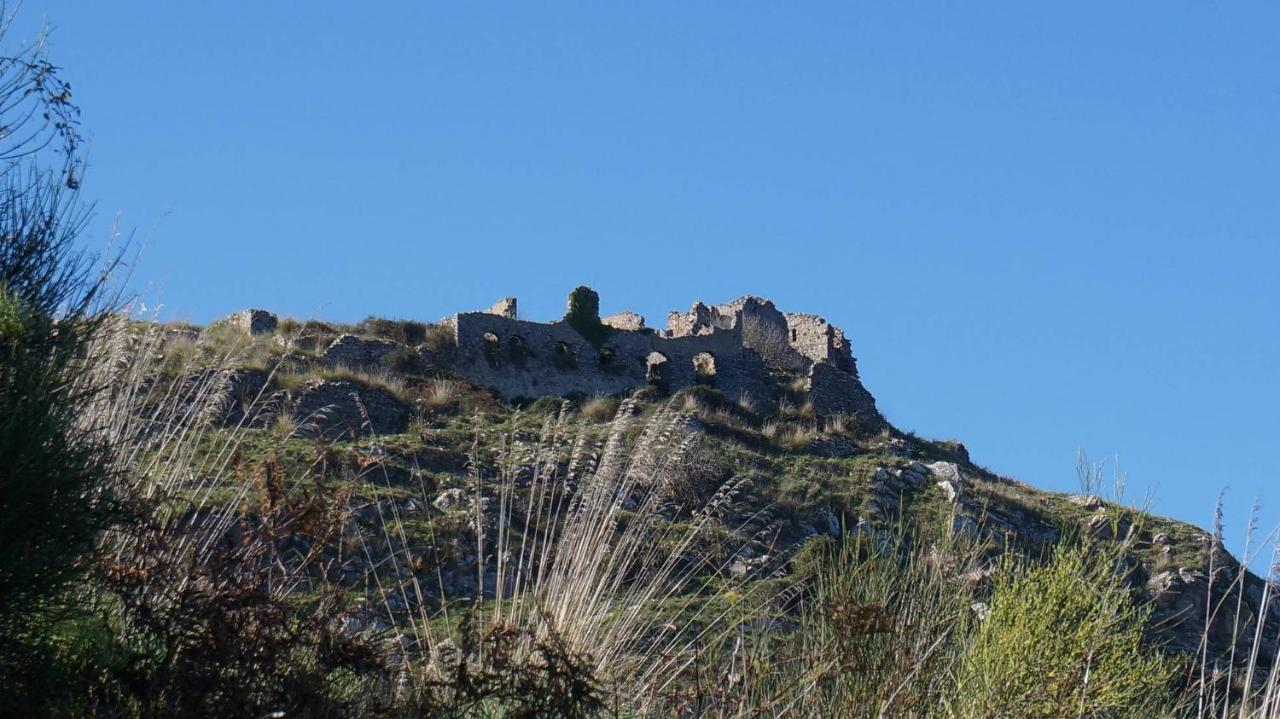 L'Ulivo In Villa Greco Tindari Dış mekan fotoğraf