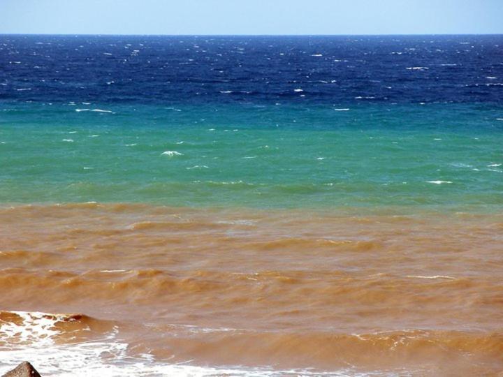 L'Ulivo In Villa Greco Tindari Dış mekan fotoğraf