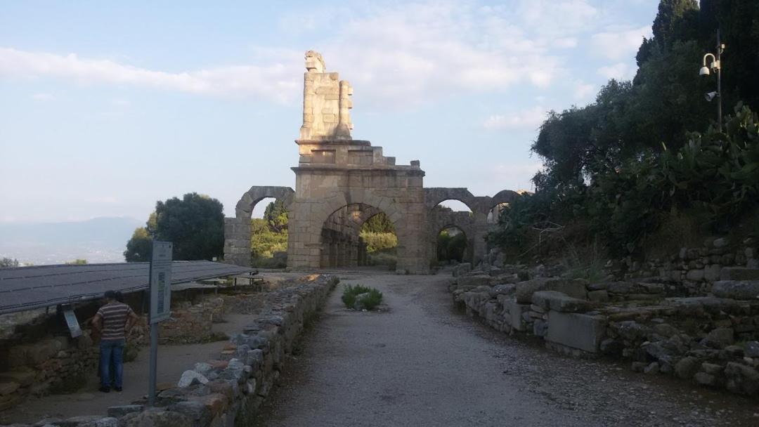 L'Ulivo In Villa Greco Tindari Dış mekan fotoğraf