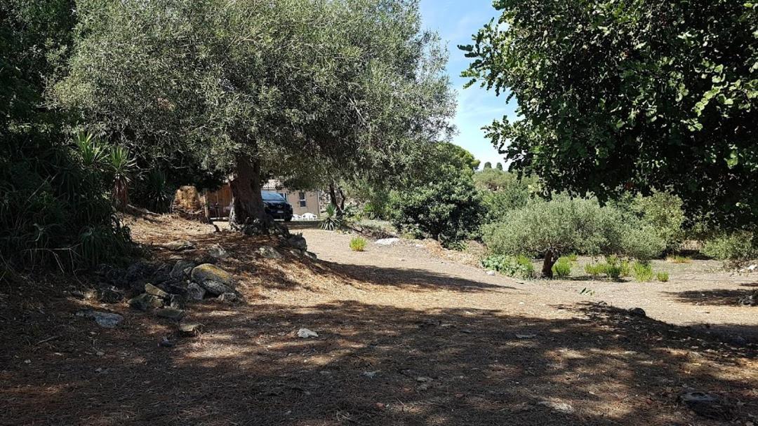 L'Ulivo In Villa Greco Tindari Dış mekan fotoğraf