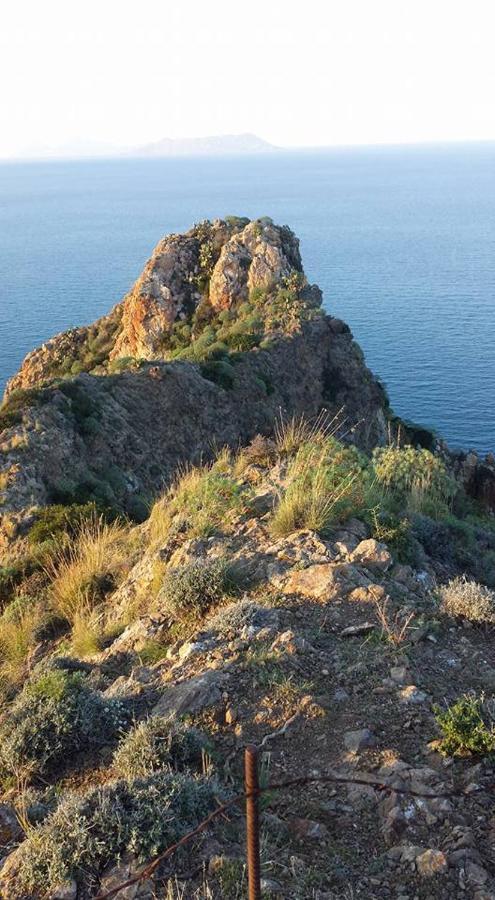 L'Ulivo In Villa Greco Tindari Dış mekan fotoğraf
