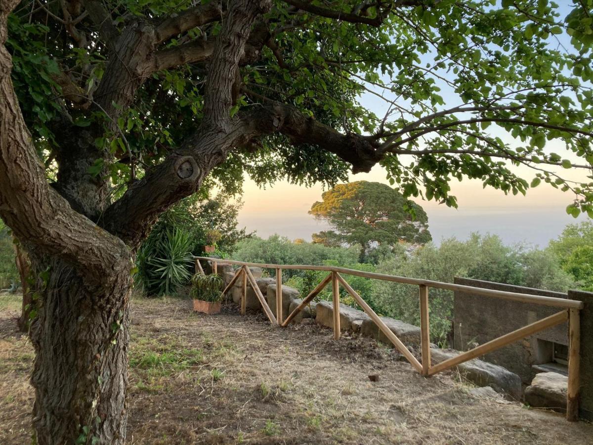 L'Ulivo In Villa Greco Tindari Dış mekan fotoğraf